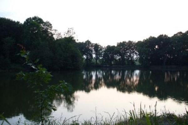 Wilcze Stawy
Raj dla wedkarzy oraz milosnikow koni.
Mozna zjesc smazona rybe i zorganizowac ognisko.