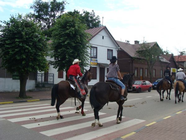 Parada koni ulicami
