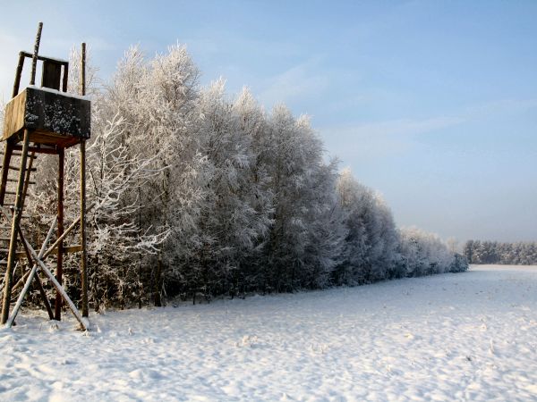 zdjecie Tyniewicze Duże