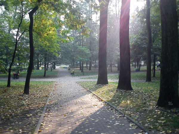 Sosnowiec-Klimontów. Park Miejski.