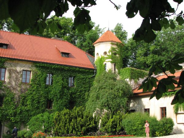 zdjecie Skała