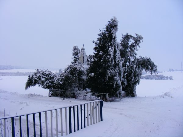 Pomnik ku pamięci pomordowanym przez Hitlerowców 1939-1945