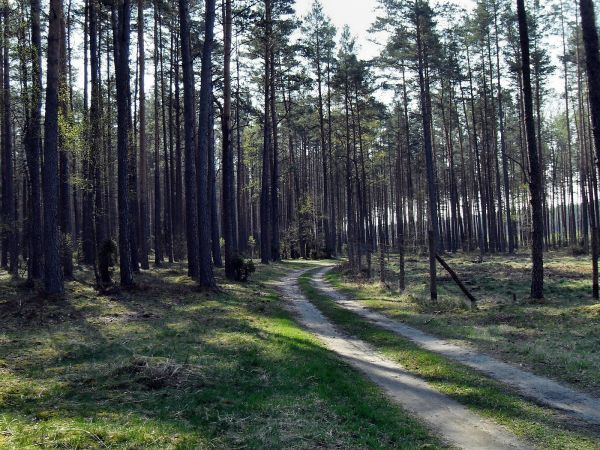 Już w Smolniku
