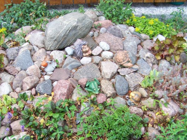 Wesoła zgraja na przydomowym skalniaku.