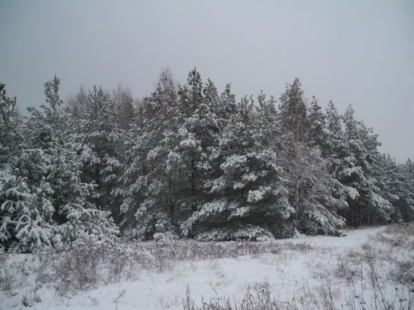 zdjecie Trzęsów
