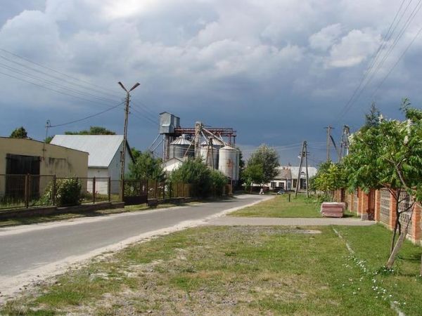 Elewatory przy młynie w Stawie.