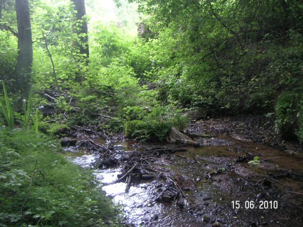 Młyńska Struga - strumyk z fragmentem dawnego młyna.