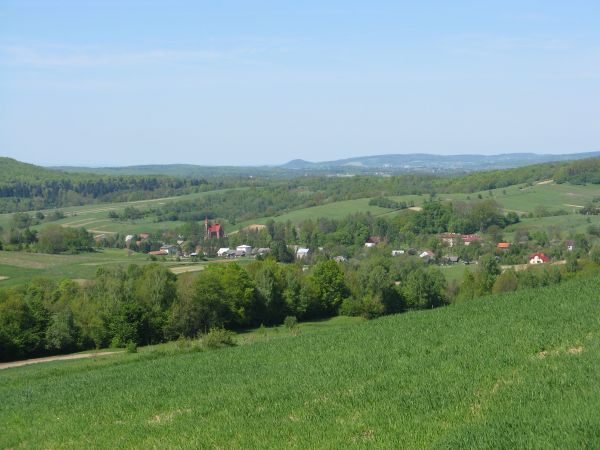 z przysiółka "Przykopy" : widok na wieś, tam z czerwonego koloru pokryciem dachowym - kościół parafialny pw. Podwyższenia Krzyża Świętego, na lewo zbocze g. Wro