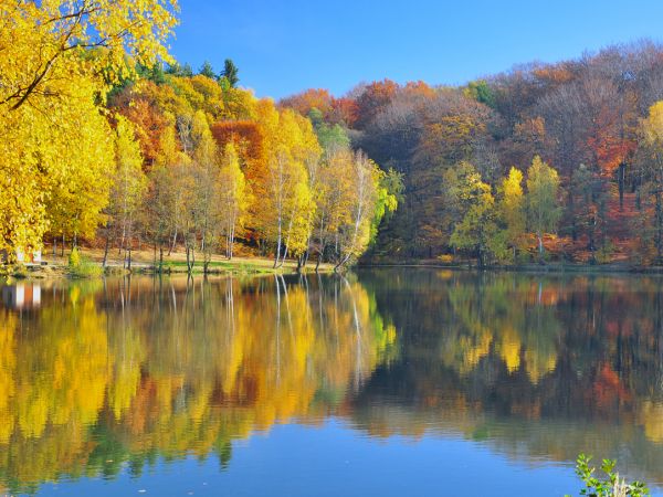 zdjecie Wodzisław Śląski