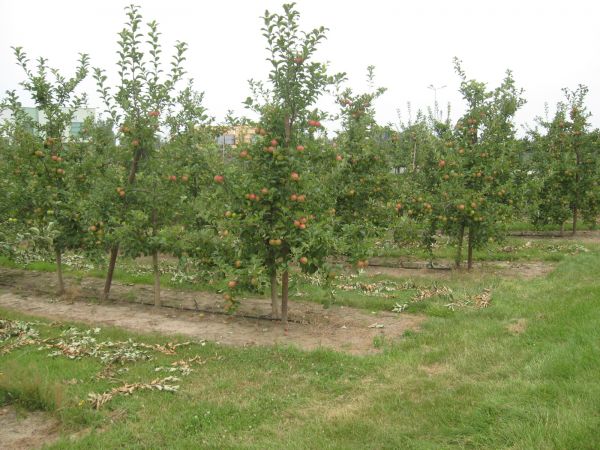 zdjecie Sobienie-Jeziory