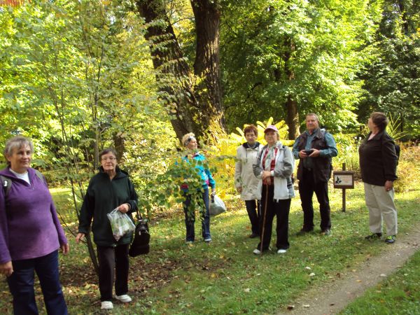 w parku dworskim na "Chmurówkach" - przy jednym ze stawów. Dalej po prawej  od drzewa wiele uroku wnoszą miotełki nawłoci kanadyjskiej.
