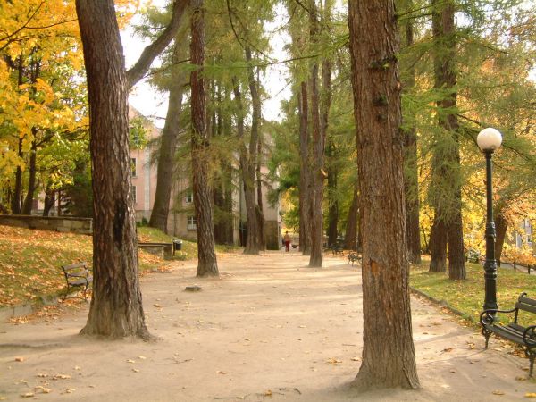 zdjecie Lądek-Zdrój