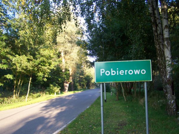 POBIEROWO W NADMORSKIM LESIE