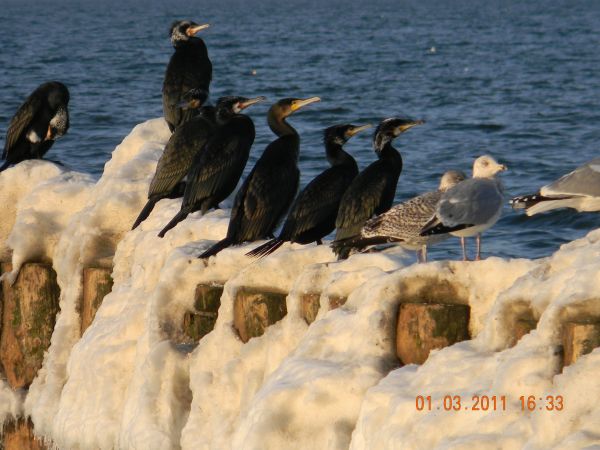 Piękna zima wtedy była :)