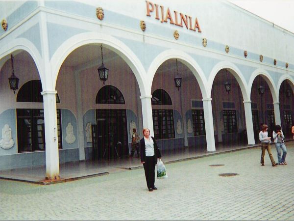 przed budynkiem pijalni z 1837r. - gruntownie przekształcanym w XIX i XX wieku - kryty deptak. Występują tu wody mineralne typu chlorkowo-wodorowęglanowo-sodowo