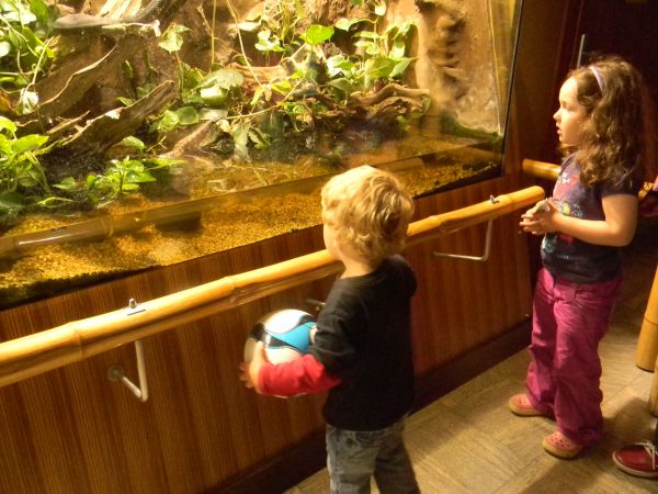 Gdynia    czerwiec 2011