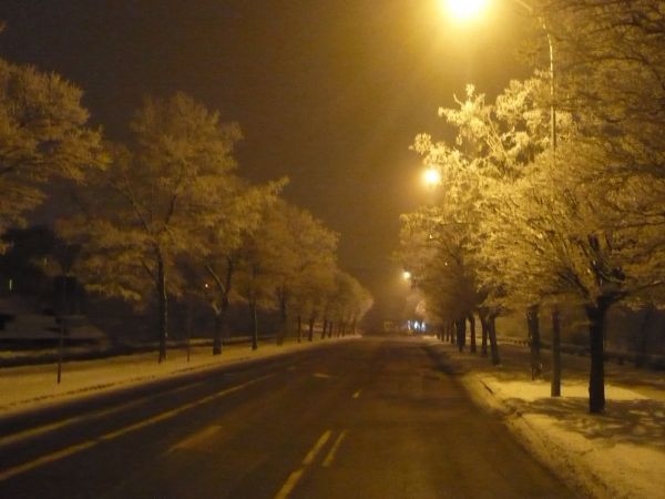 Ul.Kopernika  nocą  w  zimowej  szacie.