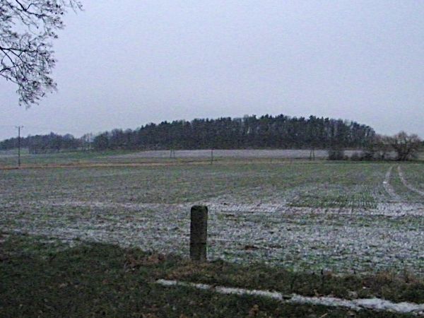 Las pełen żołnierzy niemieckich  jedna z wielu małych wojen drugiej wojny światowej które kończyły wojnę drugą ponoć zgięło dwudziestu żołnierzy niemieckich i r