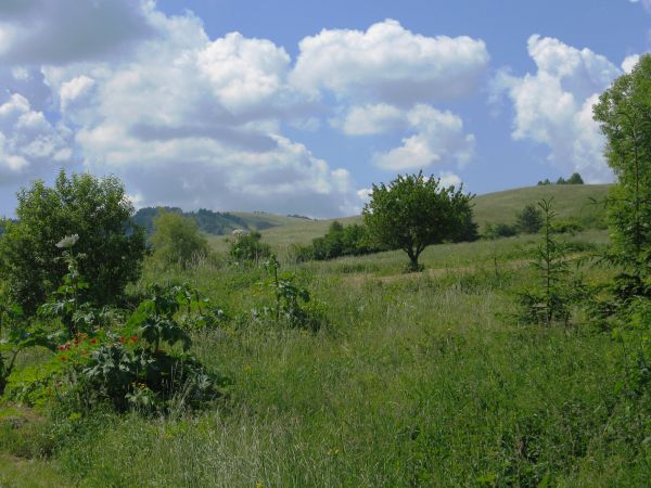 za tym zboczem: była wieś Przybyszów a dalej podejście na szczyt Tokarni - 778m npm - rozciąga się stamtąd kapitalny widok na Beskid Dukielski oraz pasmo granic