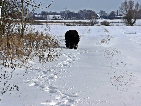Na spacerku w tle widoczne Sławianowo