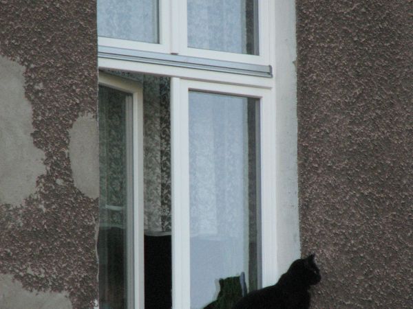 Slupsk z kociej perspektywy