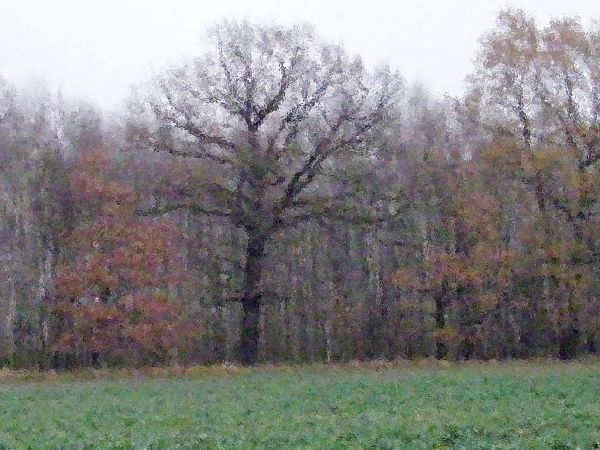 jest kilka ale nie chęć taka jak do zabytków a może lenistwo