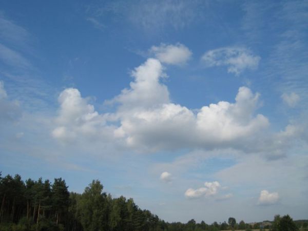 Zdjęcia Białobłoty