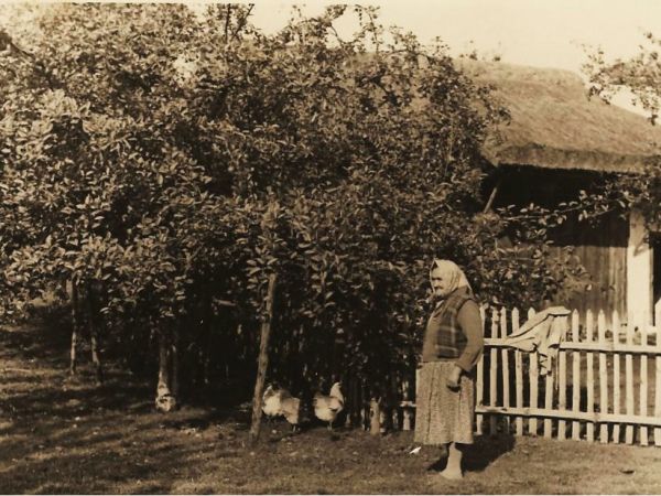 Z tyłu stodoła strzechą kryta Strzelce Wielkie lata 50.