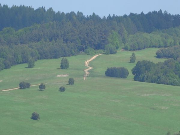 zalesione zbocza pasma Markowskiej - a my widoczną drogą, później obok szkółki leśnej i duktem i szlakiem zrywkowym - w kierunku zachodnim, na teren gminy Balig