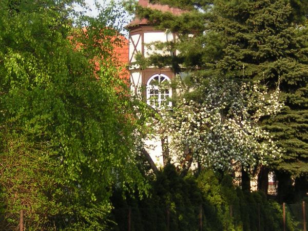 zdjecie Sulechów