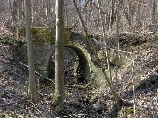 most betonowy z XIX wieku, dobrze zachowany - tym traktem do wsi w czasach zaborów sanocki starosta Ostermann, ceniąc sobie błota, wody, borowiny - tu właśnie z