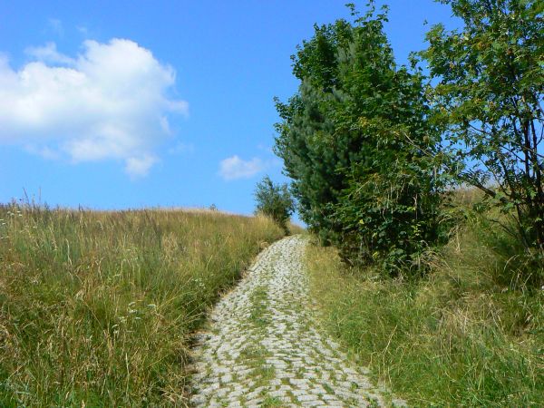 Piwniczna droga do Bziniaków