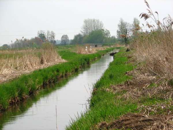 zdjecie Wólka Pukarzowska