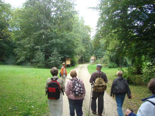 już w przydworskim parku jesteśmy, okazy - pomniki przyrody możemy podziwiać tablicą inf. się "posiłkując" za chwilę na lewo stawy będą a dalej stajnie i maneż,