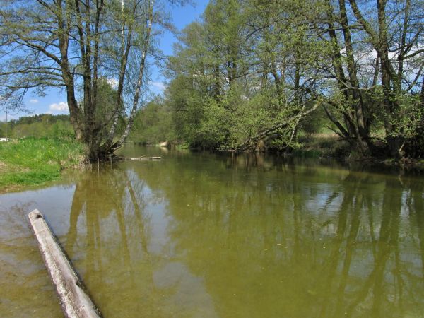 Kanał rzeki Wdy oraz teren nad nim położony