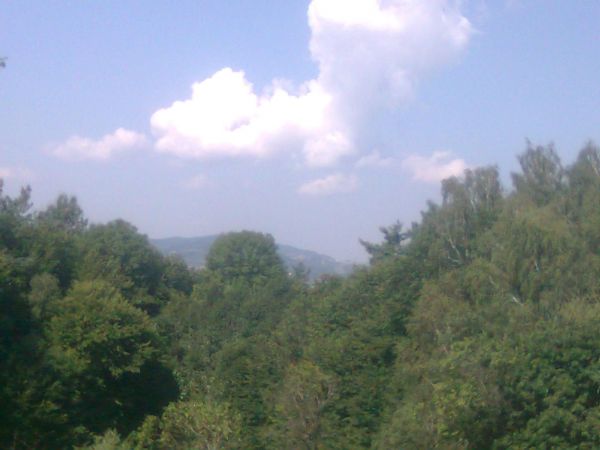 Widok  z lasu pod szczytem