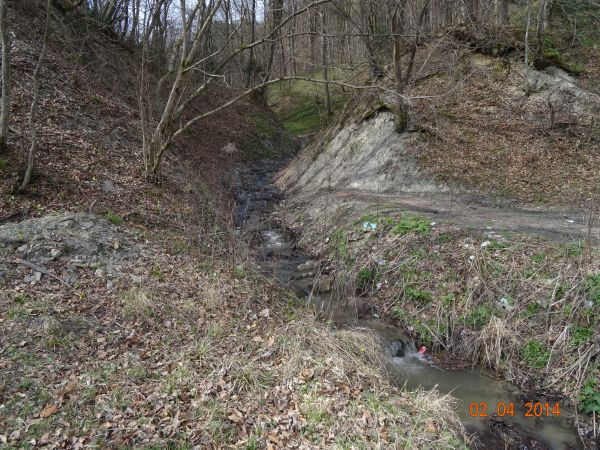 ... szumi z wolna, do Sanu i dalej Wisłą do morza - a i wnet miesiąc maj...