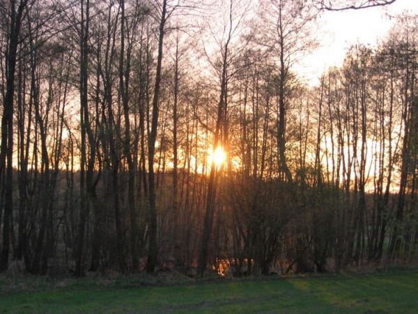 Zakończenie majowego dnia..