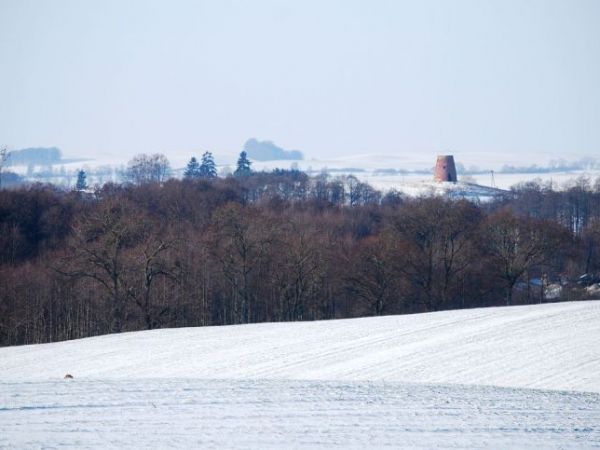 Ankamaty - II dekada stycznia 2014.