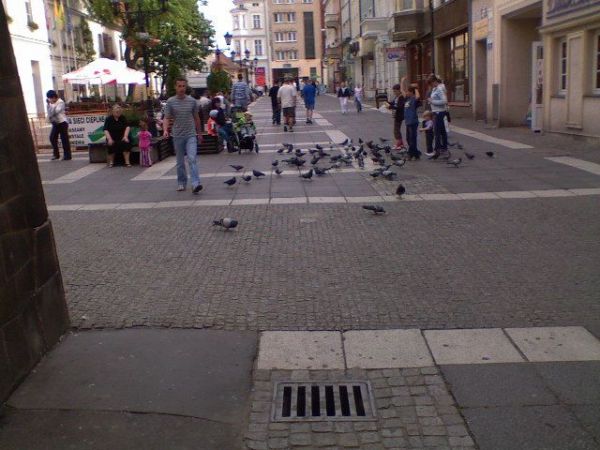 zdjecie Zielona Góra