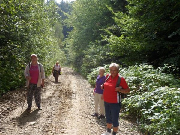 ... a my naturę nomada mamy... - drogą polną a tu i leśną - wiedzie ona na wierzchowiny Pasma Dziady - a od przekaźnika na nim to już można do wsi : Płonna, Buk