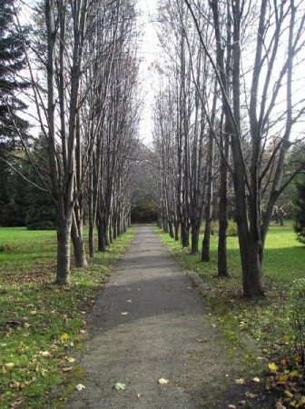 Goczałkowice Zdrój. Park Zdrojowy.