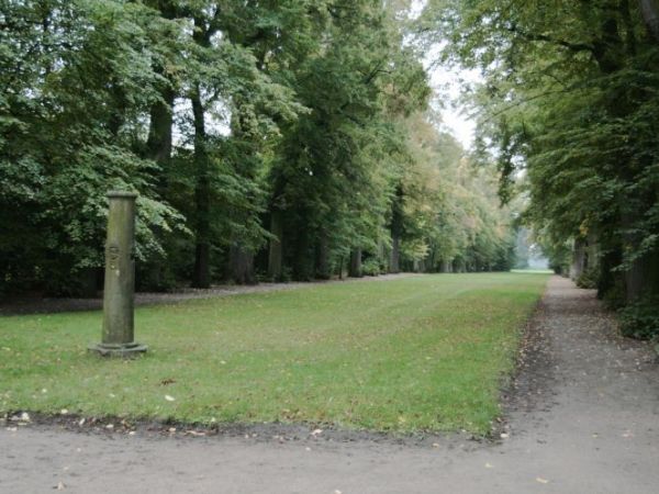 Dominują w nim rodzime gatunki drzew, ale najbardziej okazałe są dwa platany posadzone ok. roku 1770.