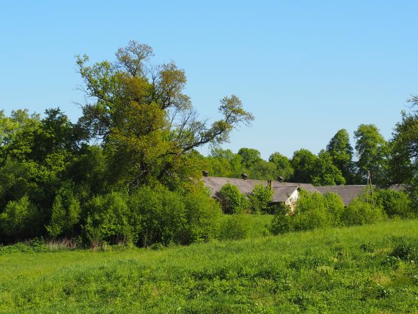 była przeprawa promowa - zeszliśmy na ląd a tu niegdyś duża wieś była, liczna - w 1936r. mieszkało tu aż 760 osób, w tym 665 grekokatolików, wieś była siedzibą