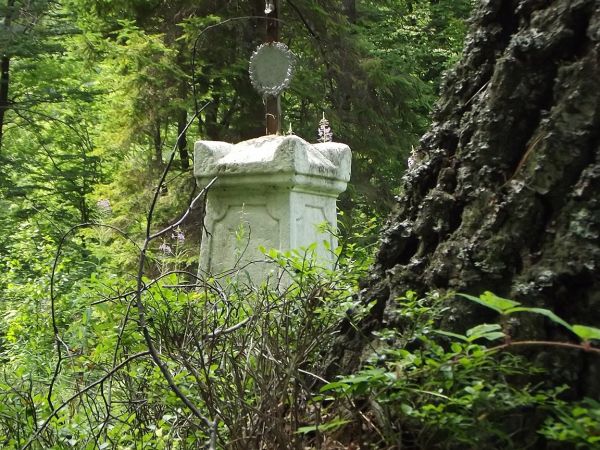 cmentarz jest grzebalny - nadal służy pochówkom wiernym, wyznawców obu obrządków, greko-katolikom i rzymsko-katolikom, są zabytkowe pomniki nagrobne ale też i n