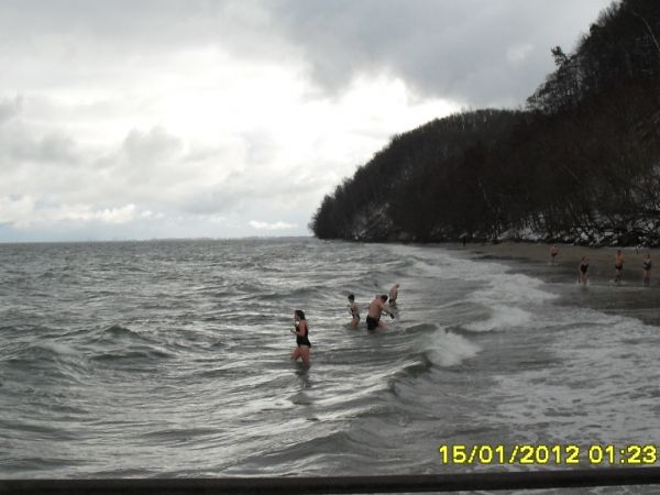 Gdyńskie Morsy :) - Styczeń 2012