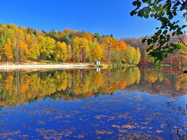 zdjecie Wodzisław Śląski