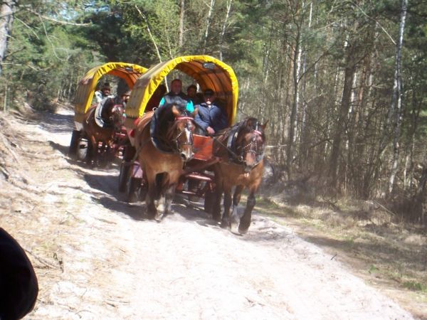 Takimi brykami dojedziesz na plażę!!