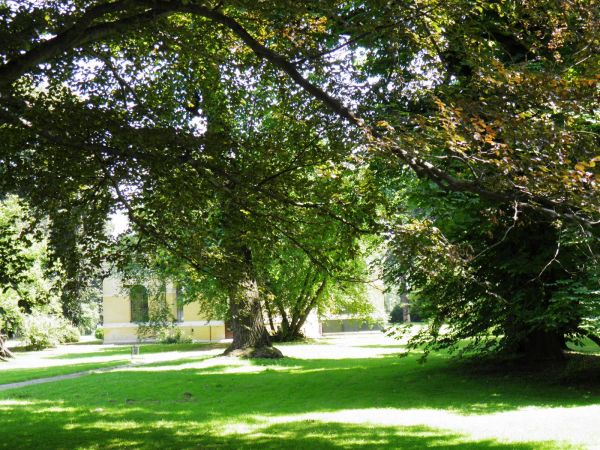 Zamek - Muzeum w Łańcucie. Park - fragment