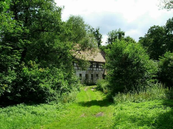 Stary młyn,szkoda że bardzo zaniedbany:/ może przyjdą lepsze czasy..